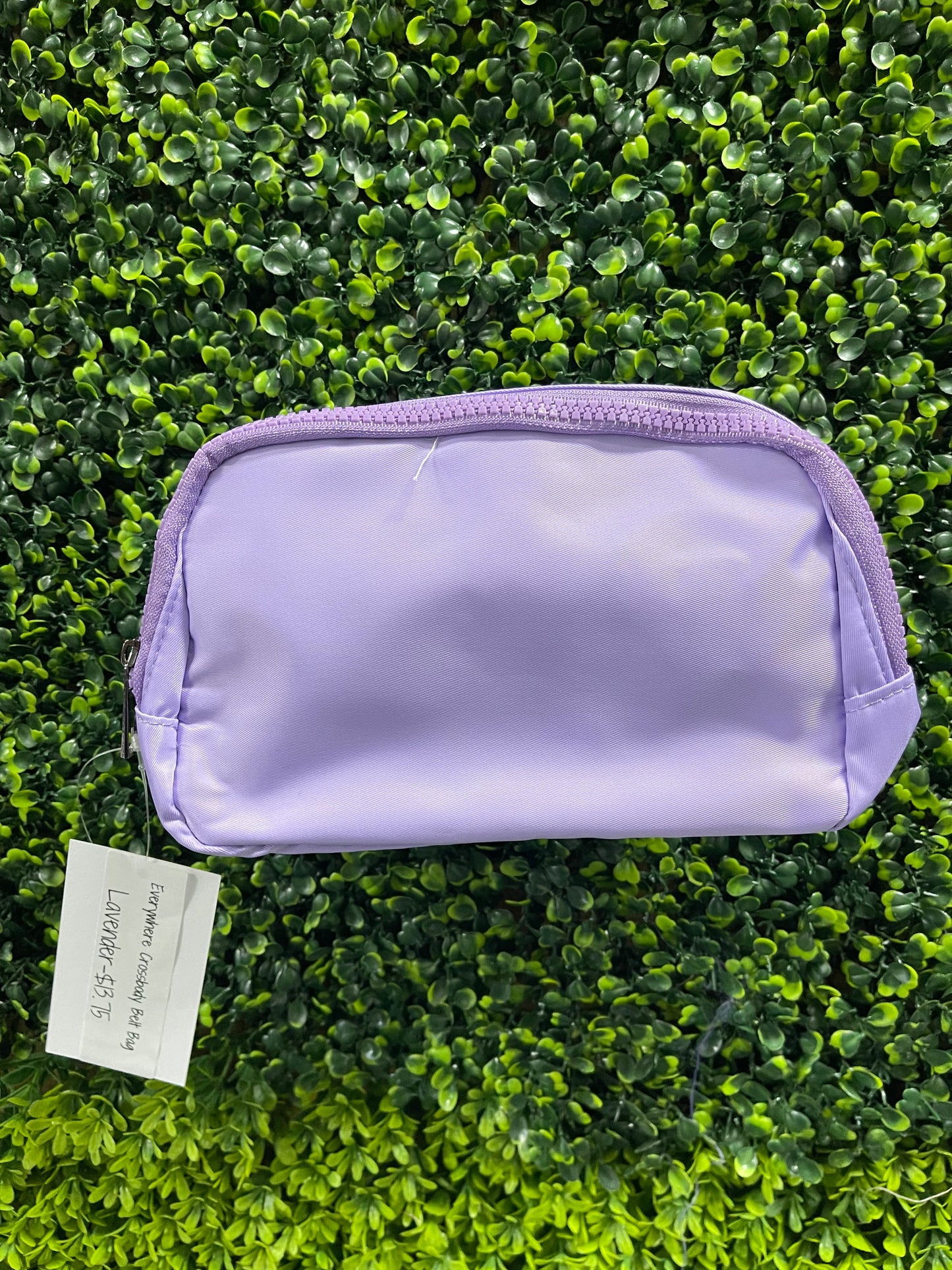 Everywhere Crossbody Belt Bag