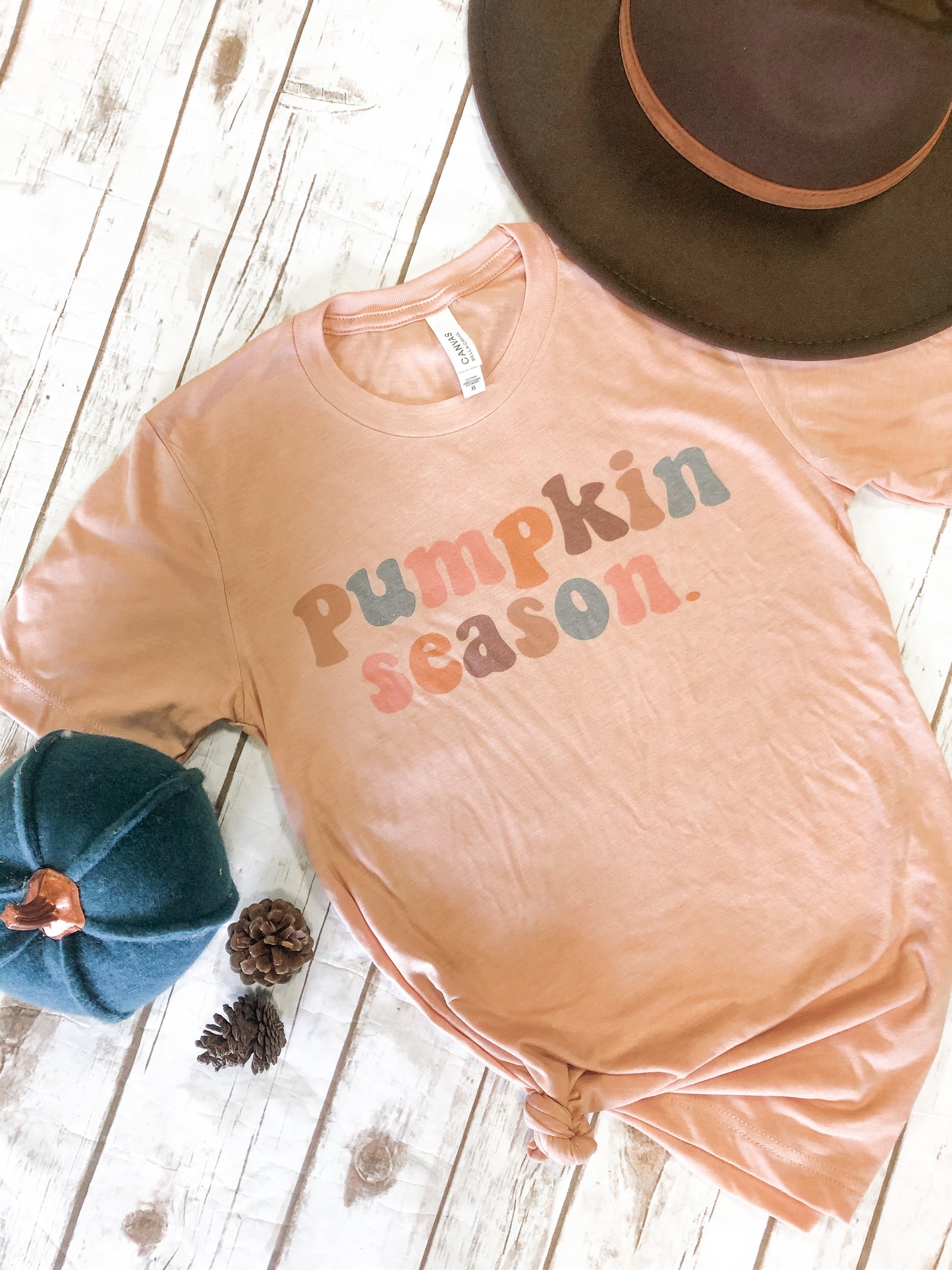 Pumpkin Season Peach Tee
