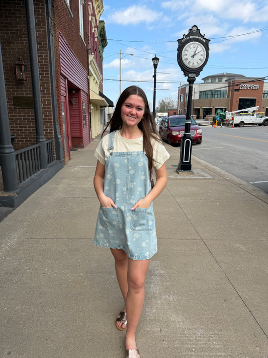 Dandelion Denim Mini Dress