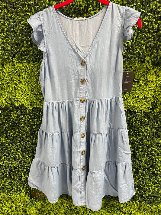 Backyard BBQ Chambray Mini Dress