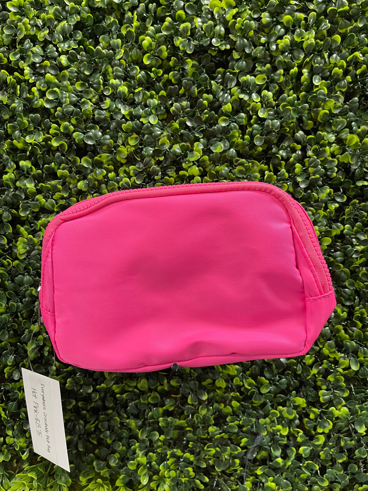 Everywhere Crossbody Belt Bag